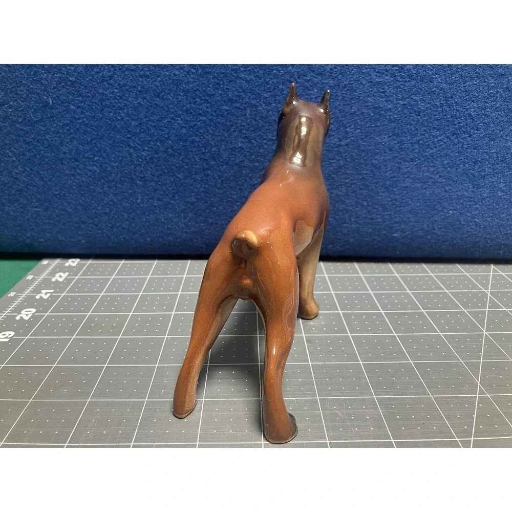 Boxer 